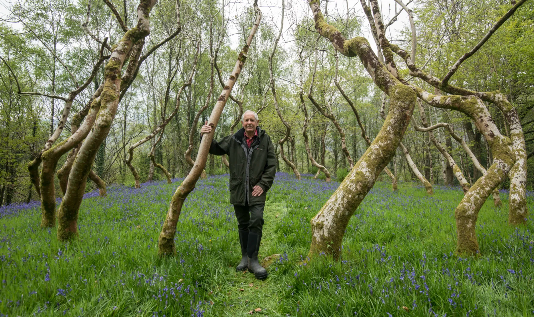 David Nash