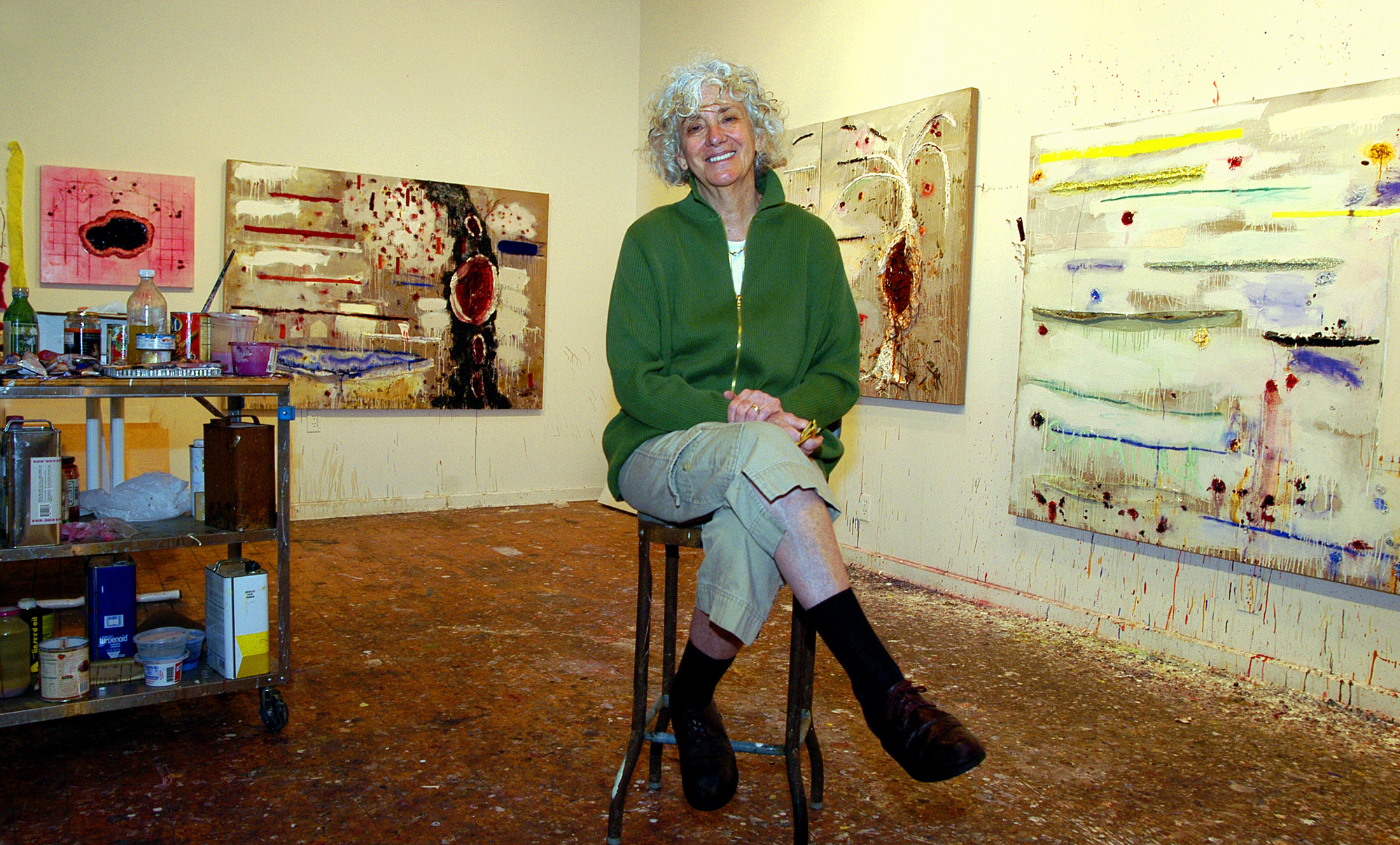 Joan Snyder