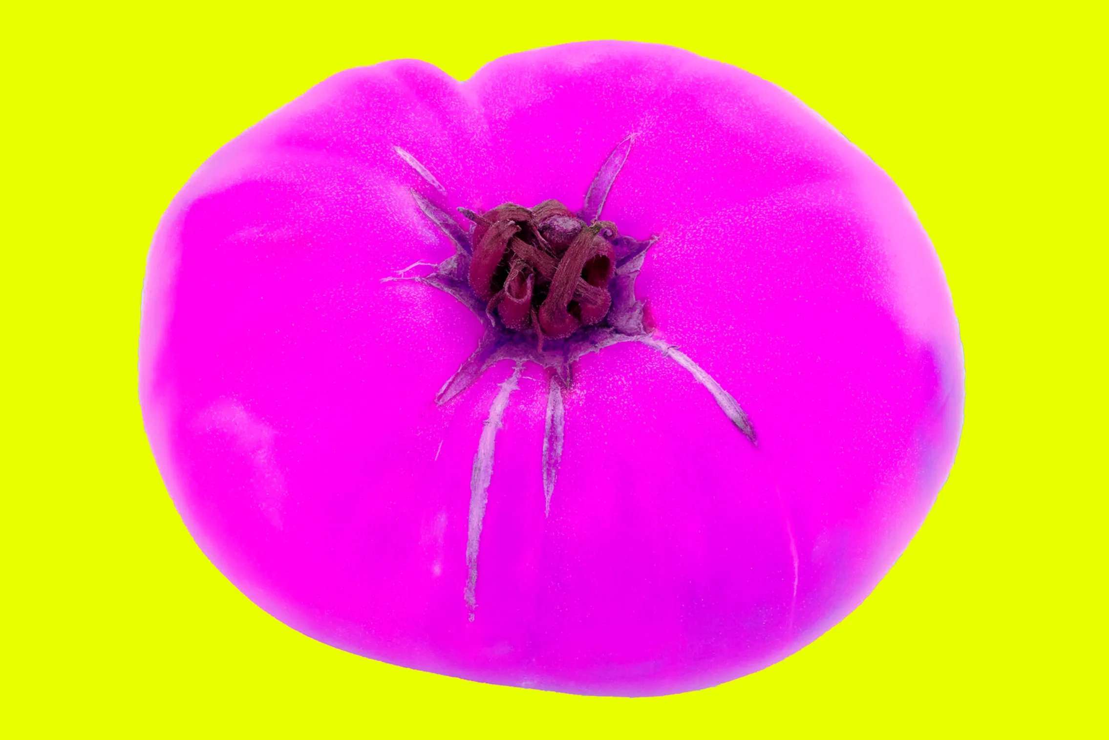 Artwork 1